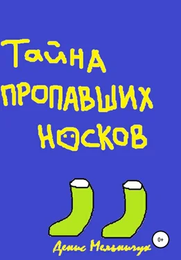 Денис Мельничук Тайна пропавших носков обложка книги