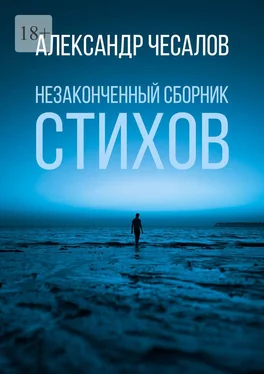 Александр Чесалов Незаконченный сборник стихов обложка книги