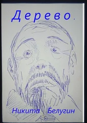 Никита Белугин - Дерево
