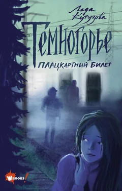 Лада Кутузова Темногорье. Плацкартный билет обложка книги