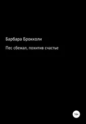 Варя Каткова - Пес сбежал, похитив счастье