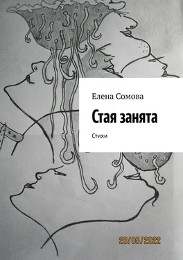 Елена Сомова Стая занята. Стихи обложка книги