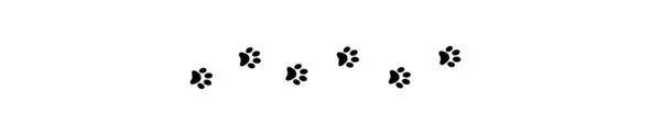 Having returned home I lit the candles and began to scroll through my - фото 22
