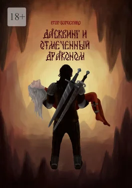 Егор Борисенко Дасквинг и Отмеченный Драконом обложка книги