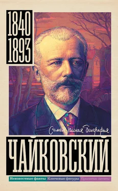 Василий Берг Чайковский обложка книги