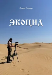Павел Пашков - Экоцид