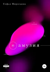 Софья Мироедова - Амузия