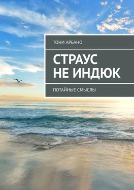 Тони Арбано Страус не индюк. Потайные смыслы обложка книги