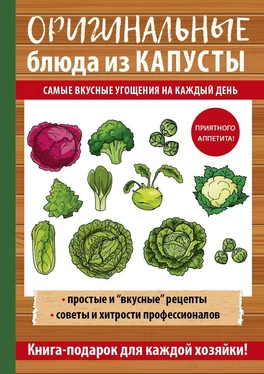 Анастасия Кривцова Оригинальные блюда из капусты. Самые вкусные угощения на каждый день обложка книги