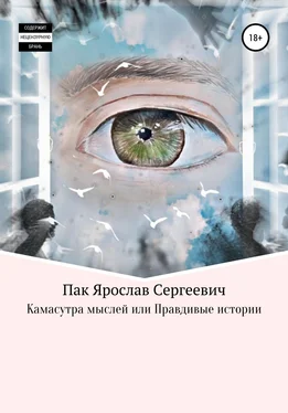 Ярослав Пак Камасутра мыслей, или Правдивые истории обложка книги