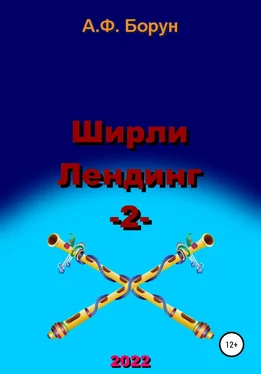 Александр Борун Ширли Лендинг – 2 обложка книги