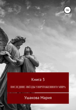 Мария Ушакова Последние звёзды уничтоженного мира обложка книги