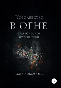 Эдгарс Власовс Королевство в огне. Судьбоносное путешествие обложка книги