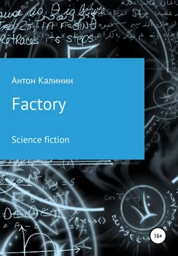 Антон Калинин Factory обложка книги