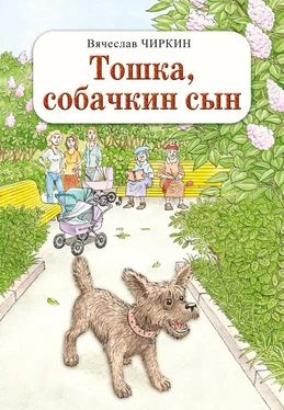 Вячеслав Чиркин Тошка, собачкин сын обложка книги