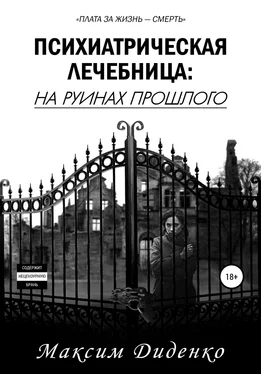 Максим Диденко Психиатрическая лечебница: На руинах прошлого обложка книги