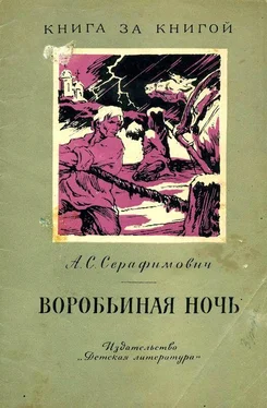 Александр Серафимович Воробьиная ночь обложка книги