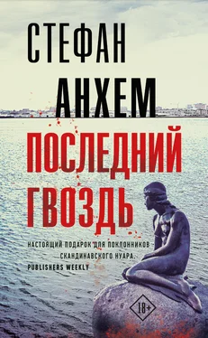 Стефан Анхем Последний гвоздь обложка книги