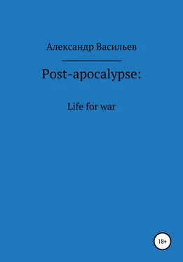 Александр Васильев Post-apocalypse. Life for war обложка книги