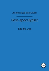 Александр Васильев - Post-apocalypse. Life for war