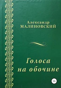 Александр Малиновский Голоса на обочине обложка книги