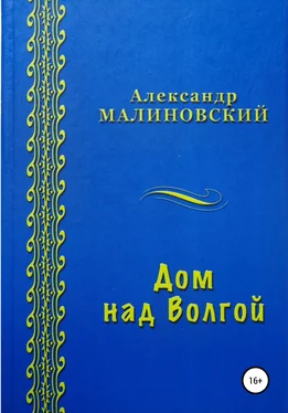 Александр Малиновский Дом над Волгой обложка книги