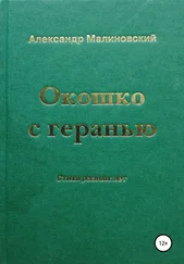 Александр Малиновский - Окошко с геранью
