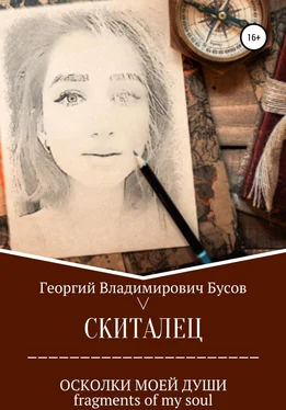 Георгий Бусов Скиталец. Осколки моей души обложка книги