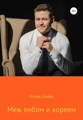 Семён Рочев - Меж ямбом и хореем