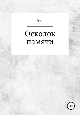 Атя Осколок памяти обложка книги