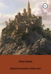 Лион Кямью - Добрый волшебник и Живо-цвет