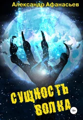 Александр Афанасьев - Сущность волка