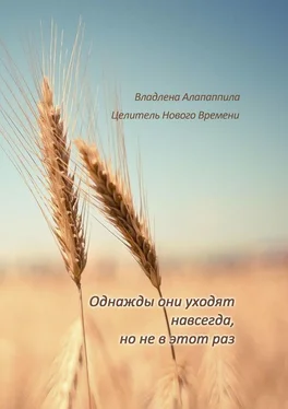 Владлена Алапаппила Однажды они уходят навсегда, но не в этот раз обложка книги