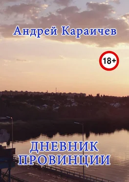 Андрей Караичев Дневник провинции обложка книги