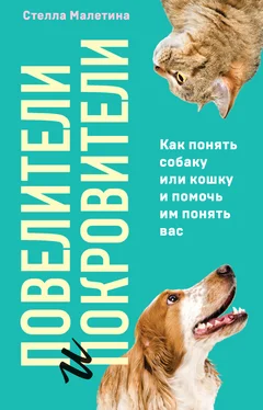 Стелла Малетина Повелители и покровители. Как понять собаку или кошку и помочь им понять вас обложка книги