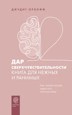 Джудит Орлофф Дар сверхчувствительности. Книга для нежных и ранимых обложка книги