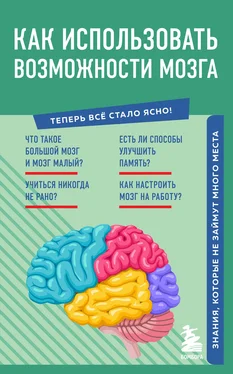 Коллектив авторов Как использовать возможности мозга. Знания, которые не займут много места обложка книги