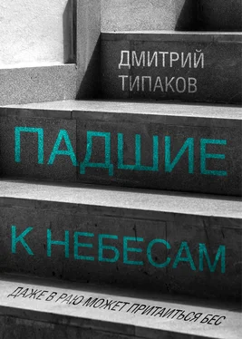 Дмитрий Типаков Падшие к небесам обложка книги