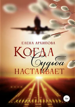 Елена Архипова Когда Судьба настаивает обложка книги