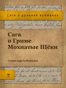 Неизвестный Автор Сага о Гриме Мохнатые Щёки обложка книги