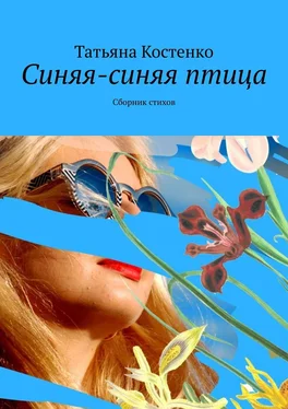 Татьяна Костенко Синяя-синяя птица. Сборник стихов обложка книги