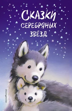 Майкл Брод Сказки серебряных звёзд обложка книги