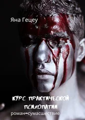 Яна Гецеу - Курс практической психопатии. Роман-сумасшествие