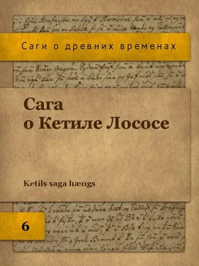 Автор неизвестен Эпосы, мифы, легенды и сказания Сага о Кетиле Лососе обложка книги