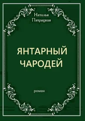 Наталья Патрацкая - Янтарный чародей. Роман