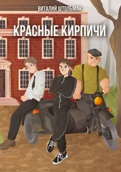 Виталий Штольман - Красные кирпичи