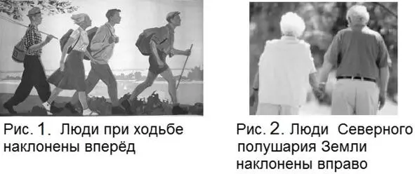 На экваторе сила Кориолиса совсем отсутствует В Южном полушарии она действует - фото 1