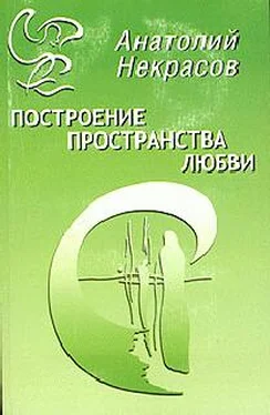 Анатолий Некрасов Построение пространства любви обложка книги