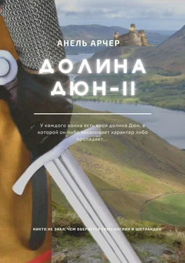 Анель Арчер Долина Дюн – II обложка книги