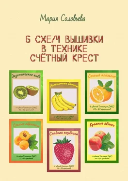Мария Соловьева 6 схем вышивки в технике счетный крест обложка книги